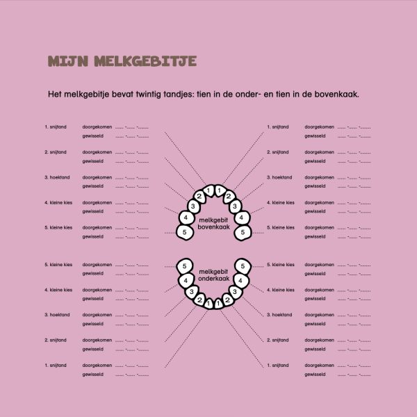 Roze pagina met een getekend gebit in het midden, waarbij bij elke tand een lijn loopt naar een regel aan de zijkant waar datums in gevuld kunnen worden