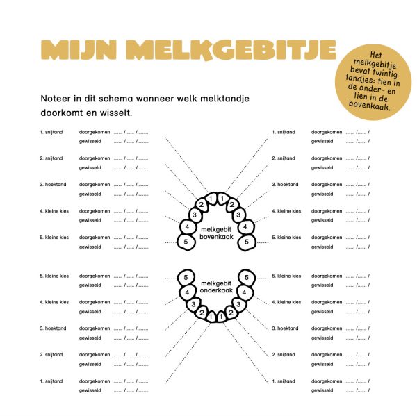 Lichte pagina met een zwart getekend gebitje in het midden, vanuit het gebit lopen lijntjes naar regels waar je data op kunt schrijven